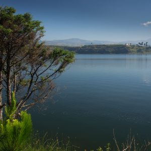 Madagascar_1104-122-1.jpg