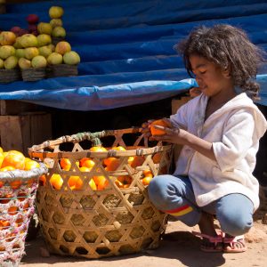 Madagascar_1104-125-1.jpg
