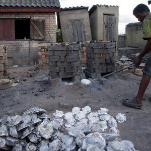Madagascar_1104-137-1.jpg