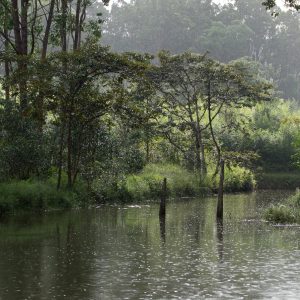 Madagascar_1104-176-1.jpg
