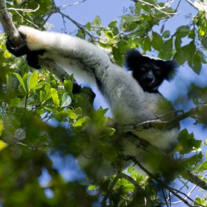 Madagascar_1104-181-1.jpg