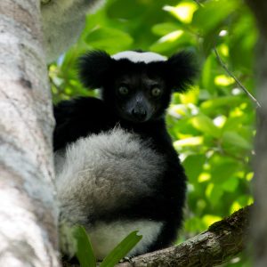 Madagascar_1104-186-1.jpg