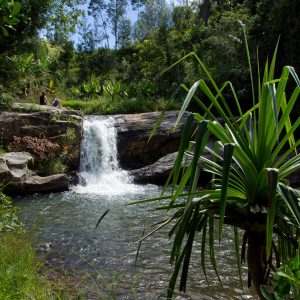 Madagascar_1104-192-1.jpg