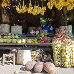 Madagascar_1104-194-1.jpg