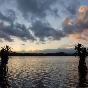 Madagascar_1104-202-1.jpg