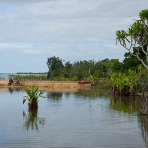 Madagascar_1104-211-1.jpg