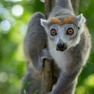 Madagascar_1104-227-2.jpg