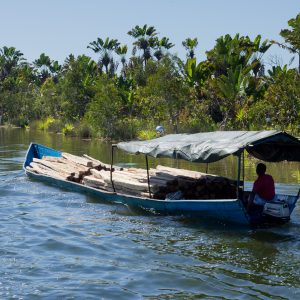 Madagascar_1104-238-1.jpg