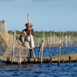 Madagascar_1104-245-1.jpg