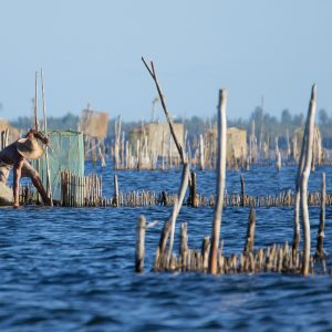 Madagascar_1104-247-1.jpg