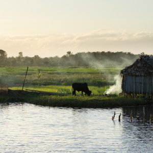 Madagascar_1104-256-1.jpg