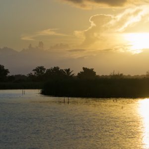 Madagascar_1104-258-1.jpg