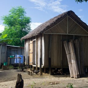 Madagascar_1104-268-1.jpg