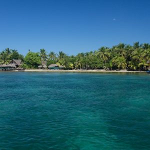 Madagascar_1104-276-1.jpg